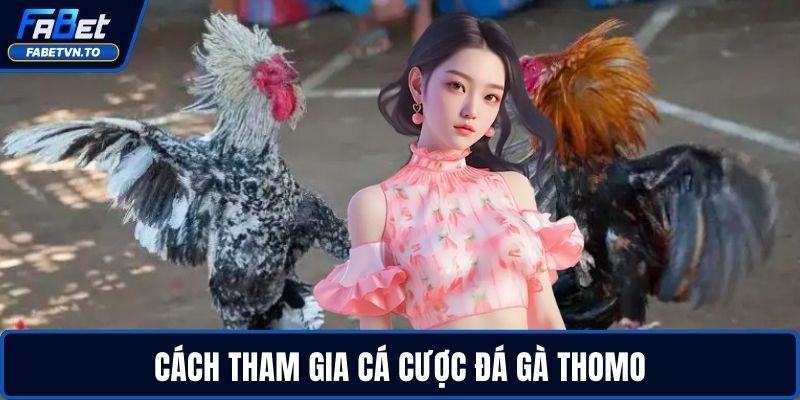 Địa Chỉ Trường Gà Thomo - Khám Phá Không Khí Sôi Động 3 Cách tham gia cá cược đá gà Thomo
