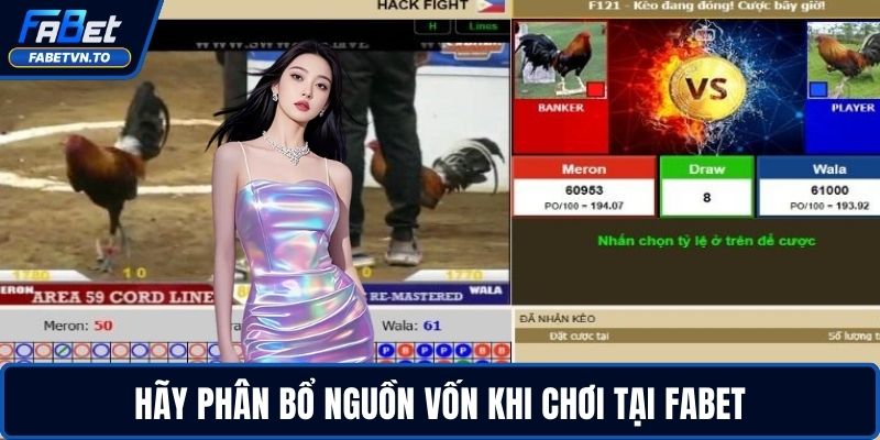 Đá Gà FABET – Sân Chơi Cá Cược Đỉnh Cao Cho Dân Cược 3 Hãy phân bổ nguồn vốn khi chơi tại FABET