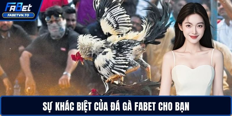 Đá Gà FABET – Sân Chơi Cá Cược Đỉnh Cao Cho Dân Cược 1 Sự khác biệt của đá gà FABET cho bạn