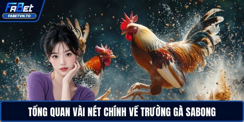 Trường Gà Sabong - Hướng Dẫn Chơi Và Đặt Cược An Toàn 2 Tổng quan vài nét chính về trường gà Sabong