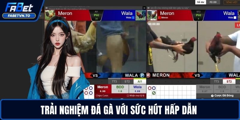 Đá Gà FABET – Sân Chơi Cá Cược Đỉnh Cao Cho Dân Cược 2 Trải nghiệm đá gà với sức hút hấp dẫn