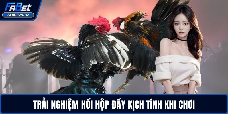 Địa Chỉ Trường Gà Thomo - Khám Phá Không Khí Sôi Động 4 Trải nghiệm hồi hộp đầy kịch tính khi chơi