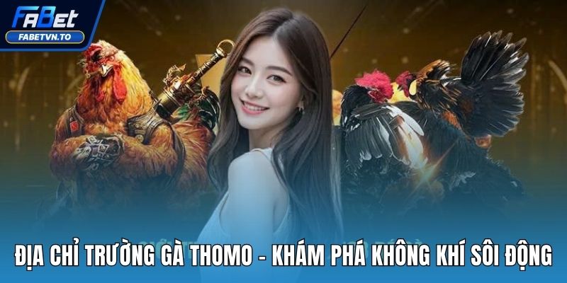 Địa Chỉ Trường Gà Thomo - Khám Phá Không Khí Sôi Động 1 Địa chỉ trường gà Thomo