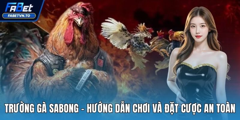 Trường Gà Sabong - Hướng Dẫn Chơi Và Đặt Cược An Toàn 1 Trường gà Sabong
